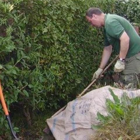 Alongside lawn mowing, edge trimming and garden weeding, hedge trimming is apart of our maintenance and support packages.